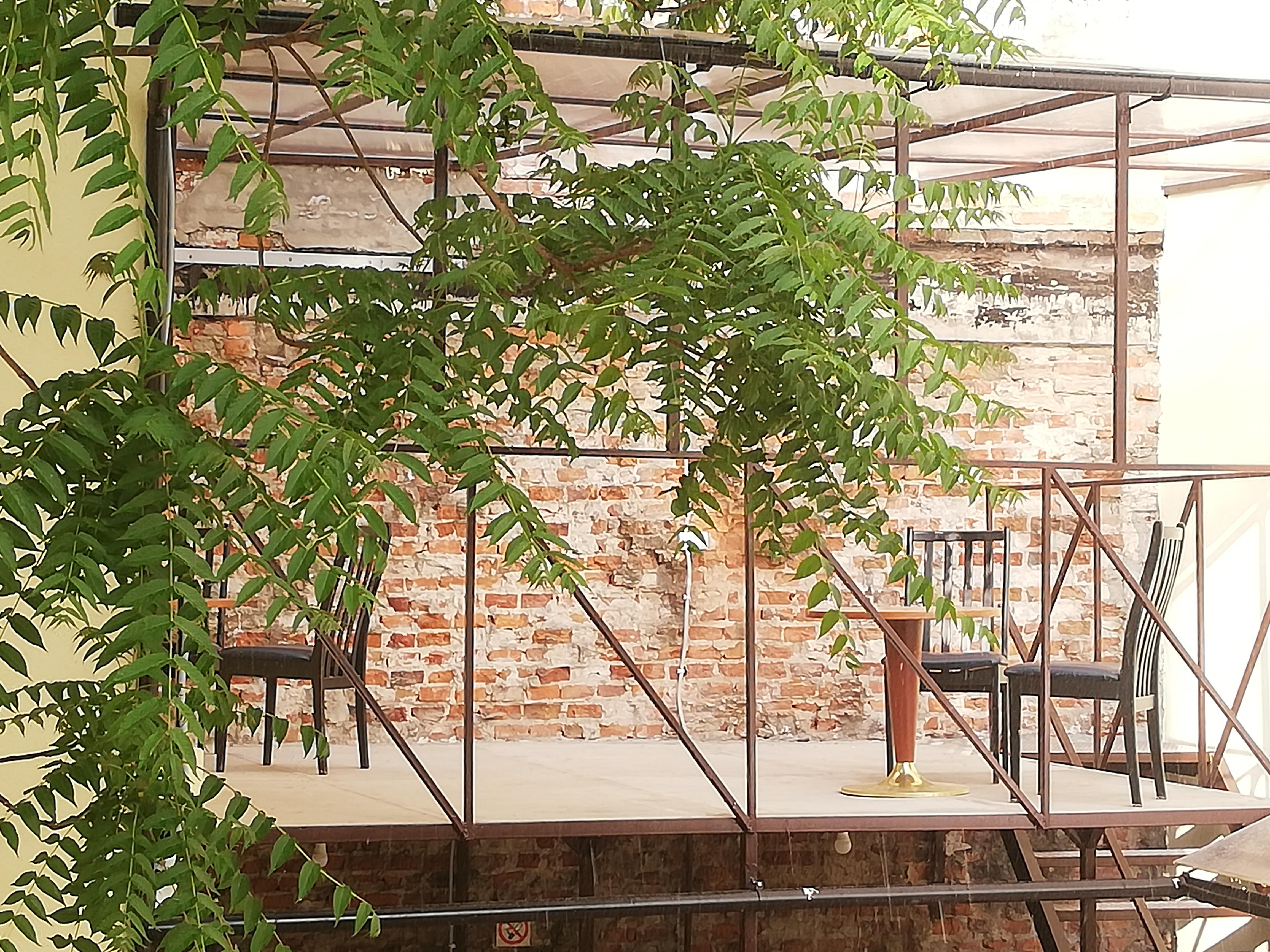 Lorf Hostel&Coffee — Zdjęcia 1